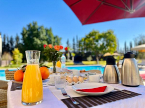 Hala Luxury Domain